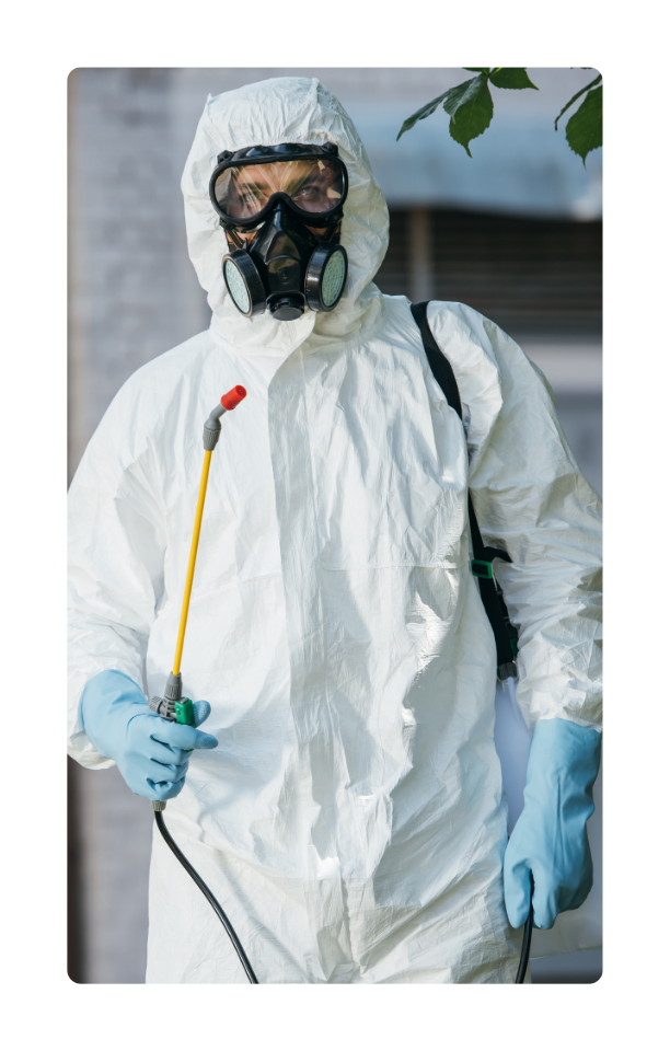 مندوب الشركة الألمانية